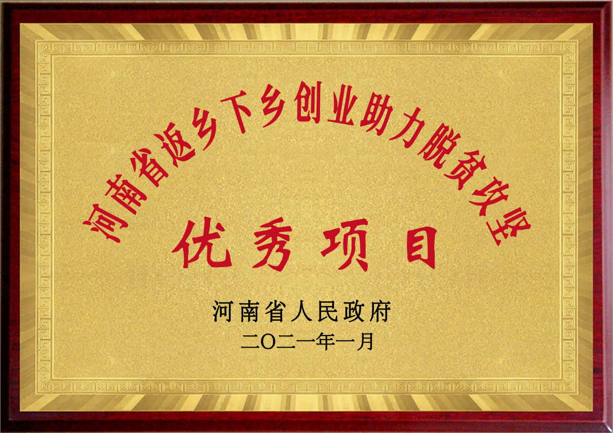 河南返鄉(xiāng)下鄉(xiāng)優(yōu)秀項目
